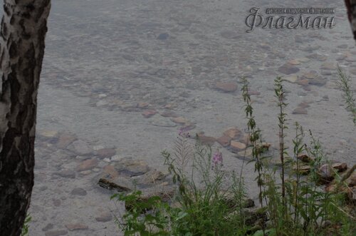 IMGP1115_r